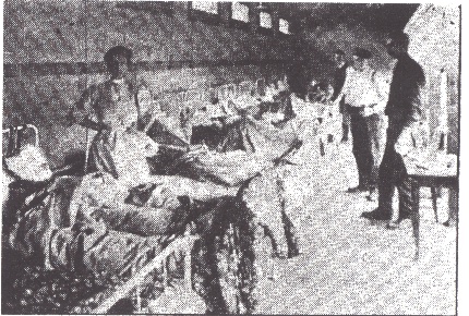 New Tuberculosis Hospital