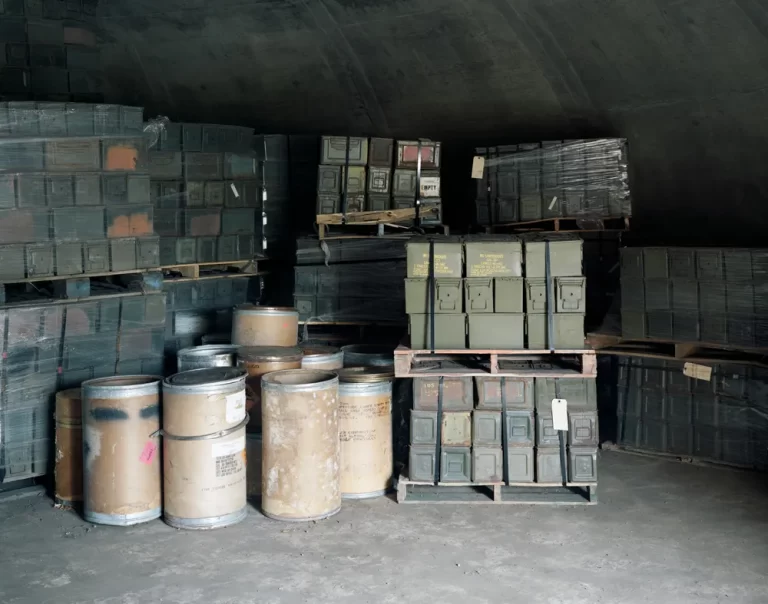 interior igloo live 01 768x604