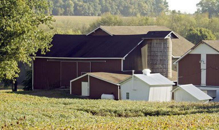 15976450 large 768x457