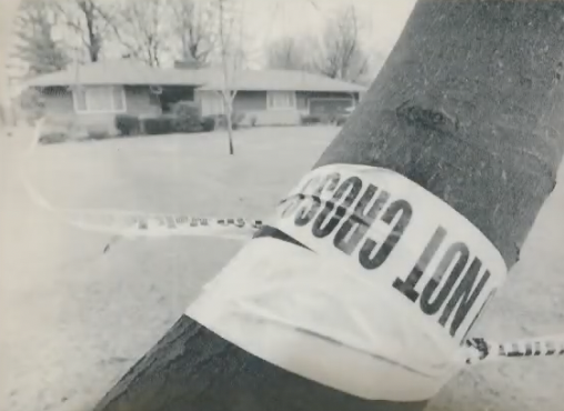 Screen Shot 2022 08 08 at 10.43.23 PM 1