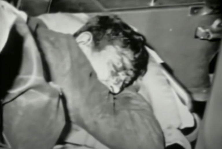 Screen Shot 2022 08 09 at 3.53.57 PM min 768x516