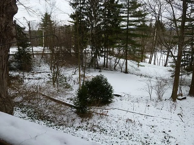 9b36b1bb0454dddface1d5138c689d60 uncropped scaled within 1536 1152