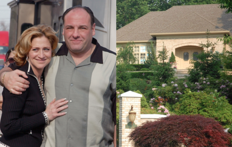 Webp.net resizeimage 768x488