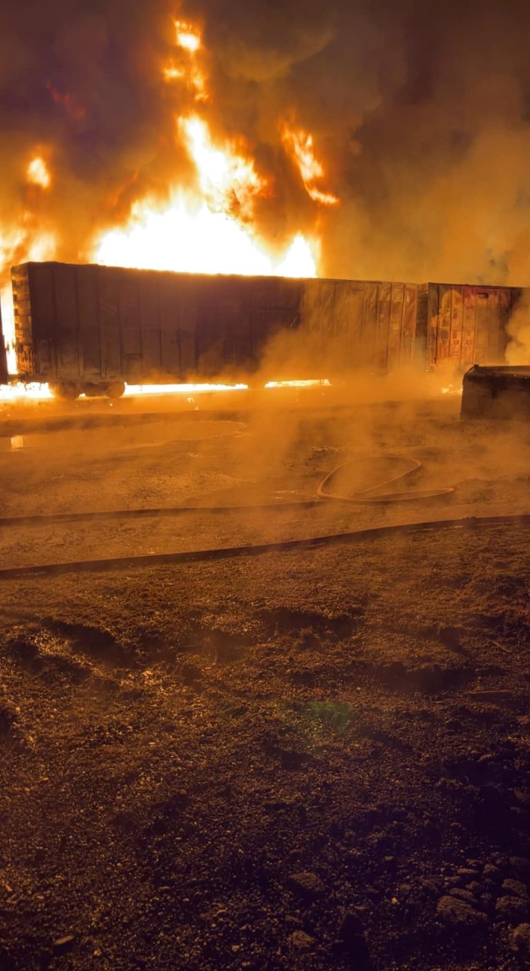 329313140 932154551280172 6549155559444722631 n 768x1407