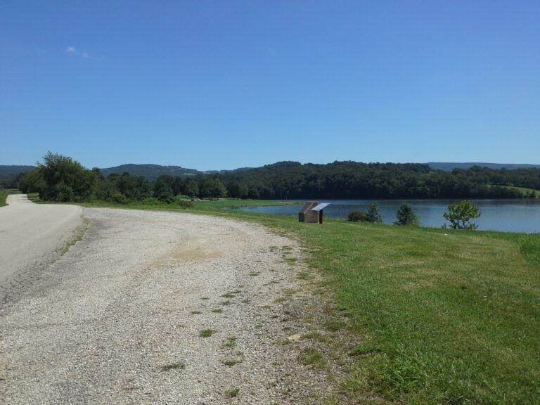 Photo248471o 768x576